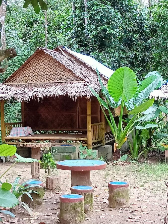 Khai Jungle Experience Camp & Tour Khao Sok National Park Exterior foto