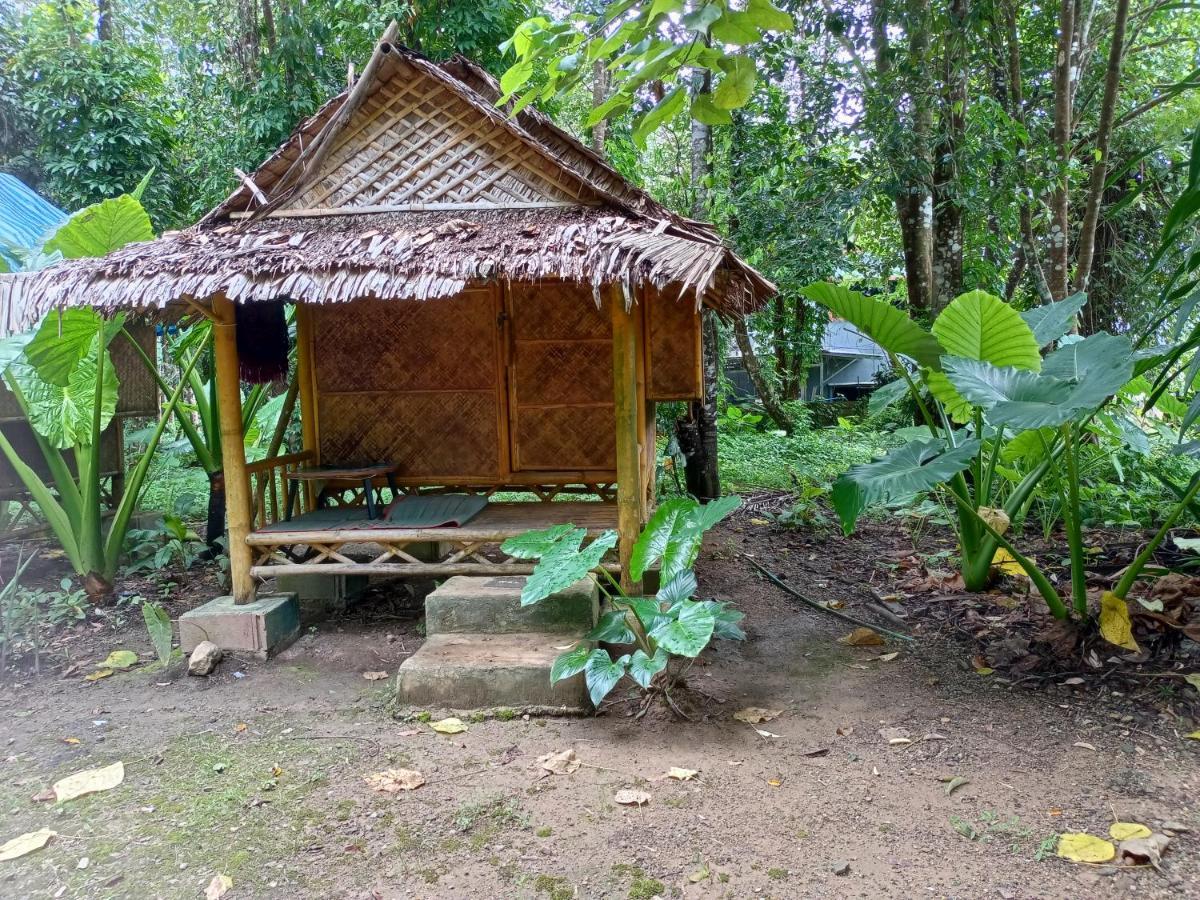 Khai Jungle Experience Camp & Tour Khao Sok National Park Exterior foto